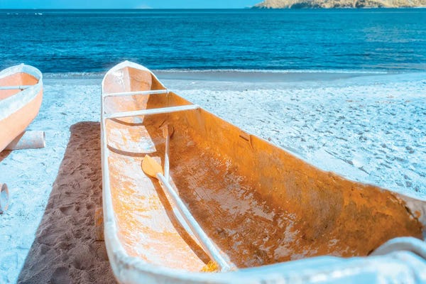 Glauco Meneghelli: La Réponse Omnisciente by Glauco Meneghelli