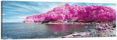 Paradise Lost Pink Canvas Art Print - Color Pop Photography