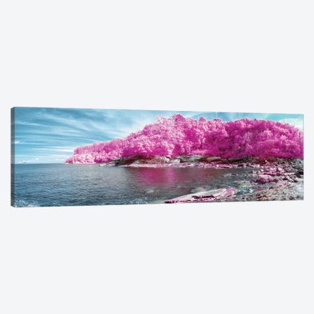 Paradise Lost Pink Canvas Print #GLM699} by Glauco Meneghelli Canvas Wall Art