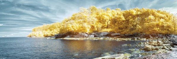 Glauco Meneghelli: Paradise Lost Yellow by Glauco Meneghelli