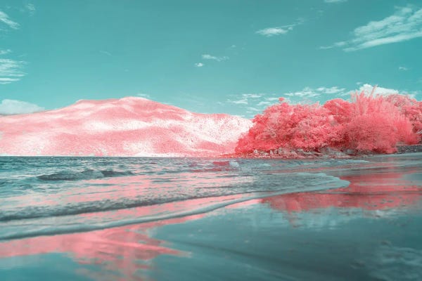 Color Pop Photography: La Leçon de Mystère by Glauco Meneghelli