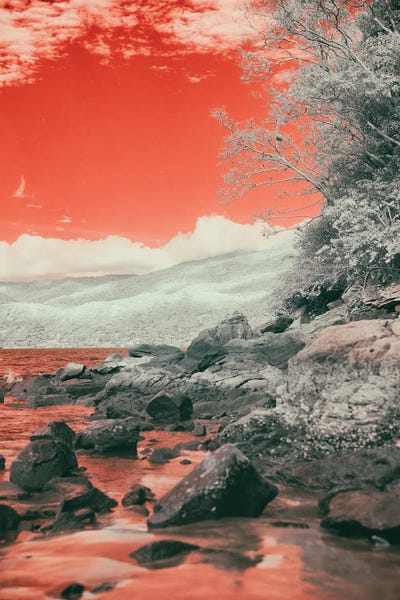 l' Action Éhonté by Glauco Meneghelli art print