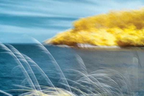 Glauco Meneghelli: Reality Of Laughter by Glauco Meneghelli