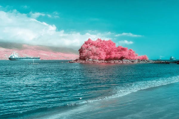 Color Pop Photography: Creatures Of Philosophy by Glauco Meneghelli