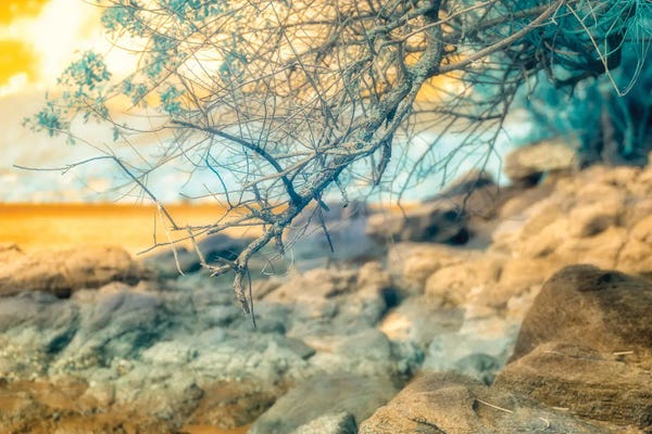 Color Pop Photography: Temporary Possessions by Glauco Meneghelli