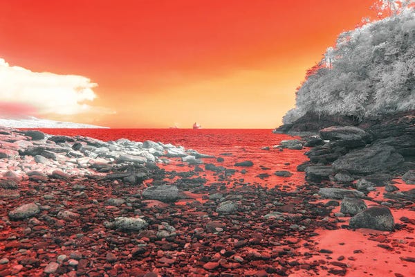 Color Pop Photography: Aftermath Of Surprise by Glauco Meneghelli