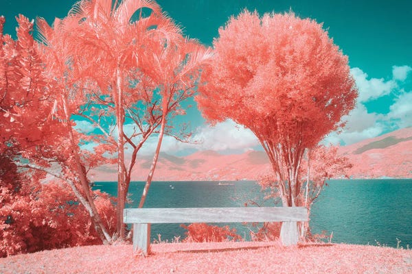 Color Pop Photography: Expansion Of Solitude by Glauco Meneghelli