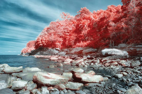 Glauco Meneghelli: Your Creative Voice by Glauco Meneghelli