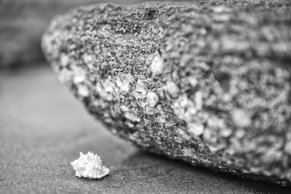 Glauco Meneghelli: Service Of Patience by Glauco Meneghelli