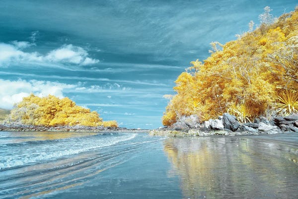 Glauco Meneghelli: Merci by Glauco Meneghelli