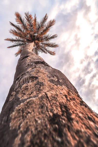 Drop Shadow by Glauco Meneghelli art print