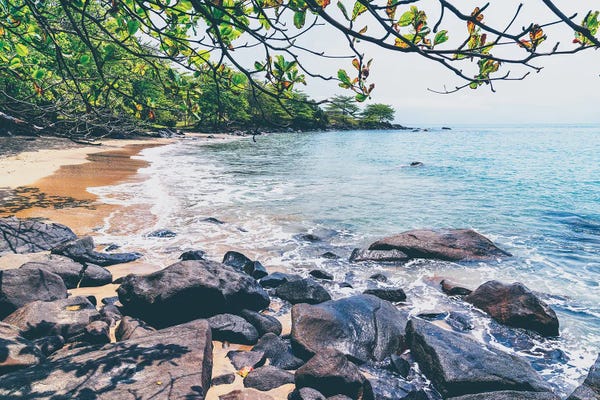 Glauco Meneghelli: Guidance Of Chemistry by Glauco Meneghelli