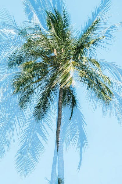 Glauco Meneghelli: La Soeur Pimpant by Glauco Meneghelli