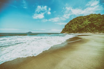 La Compassion Déguisé by Glauco Meneghelli art print