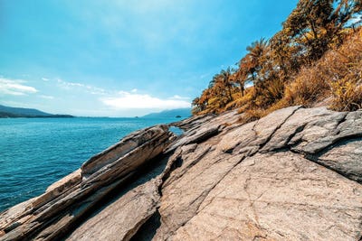 La Liberté D'Honnêteté by Glauco Meneghelli art print