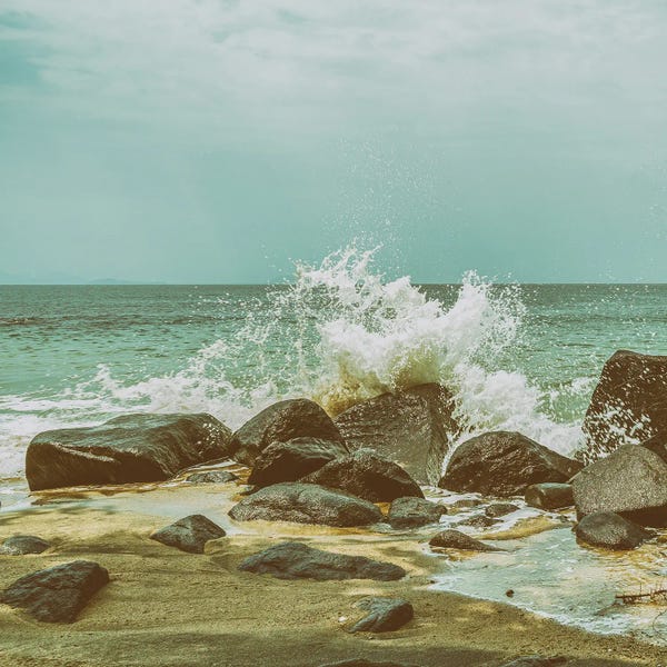 Glauco Meneghelli: Le Profil De Délice by Glauco Meneghelli