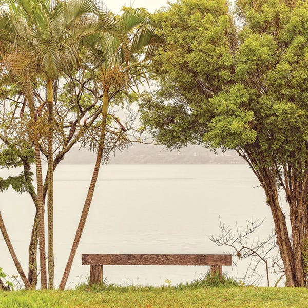 Glauco Meneghelli: Bench by Glauco Meneghelli