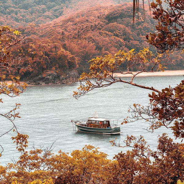 Glauco Meneghelli: L'Enfance Ancré by Glauco Meneghelli