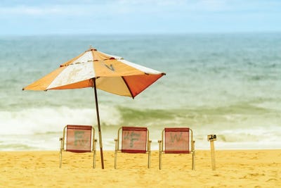 Gracious Expression by Glauco Meneghelli art print