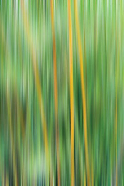 Doubt Of Flame by Glauco Meneghelli art print