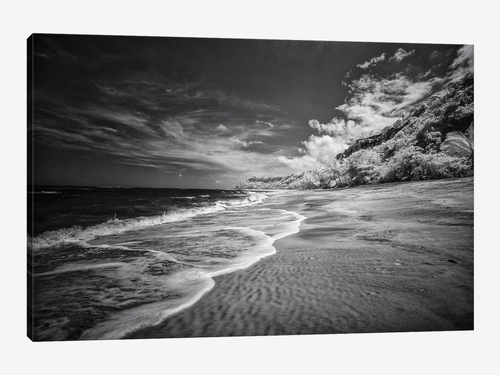 Beach Black & White - Bahia, Brazil by Glauco Meneghelli 1-piece Art Print
