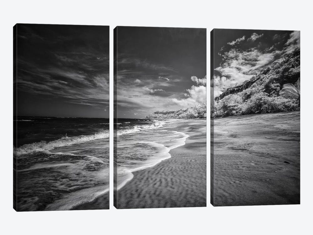 Beach Black & White - Bahia, Brazil by Glauco Meneghelli 3-piece Art Print