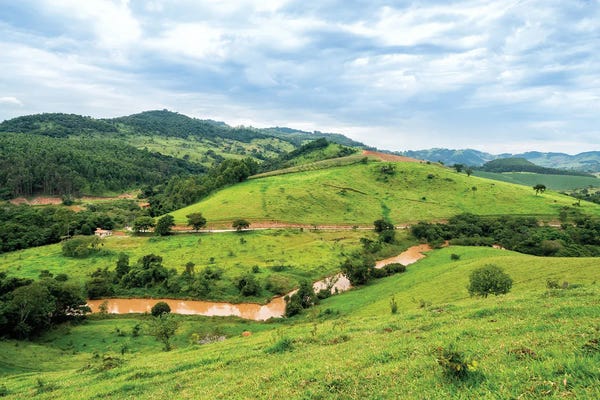 Glauco Meneghelli: Green Landscape by Glauco Meneghelli