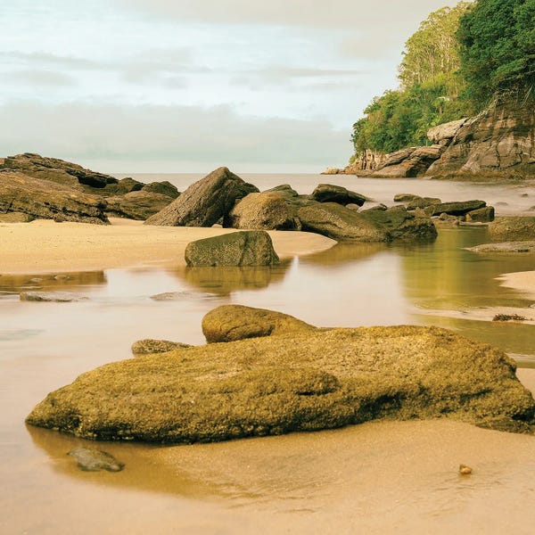 Glauco Meneghelli: Movement Of Independence by Glauco Meneghelli