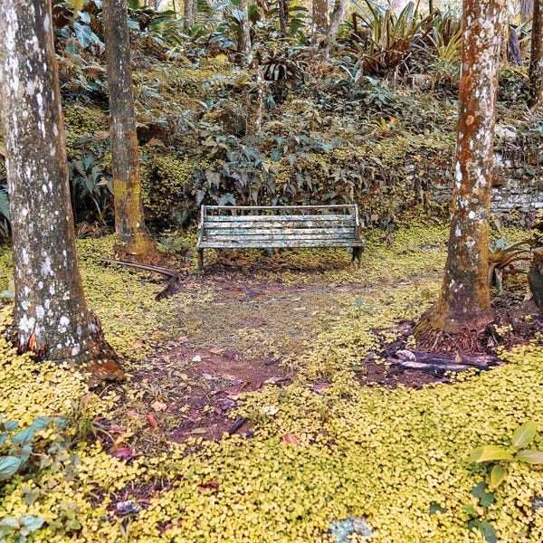 Glauco Meneghelli: Extremes Of Wonder by Glauco Meneghelli