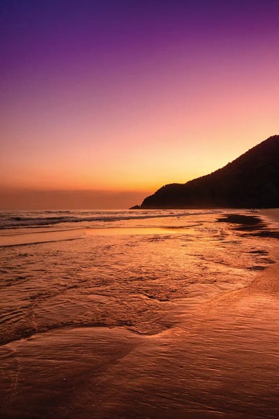 Glauco Meneghelli: Purple Paradise by Glauco Meneghelli