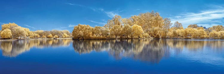Lake Forest - Sao Paulo, Brazil by Glauco Meneghelli wall art