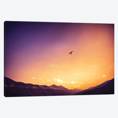 Lonely Bird Canvas Print #GLM97} by Glauco Meneghelli Canvas Wall Art