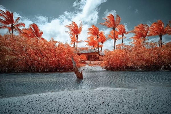 Brazil: Lonely House - Bahia, Brazil by Glauco Meneghelli