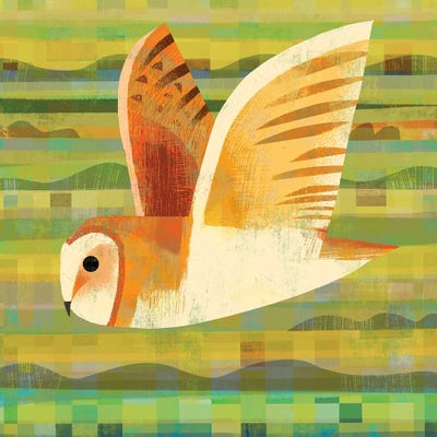 Barn Owl Flying by Gareth Lucas framed canvas print