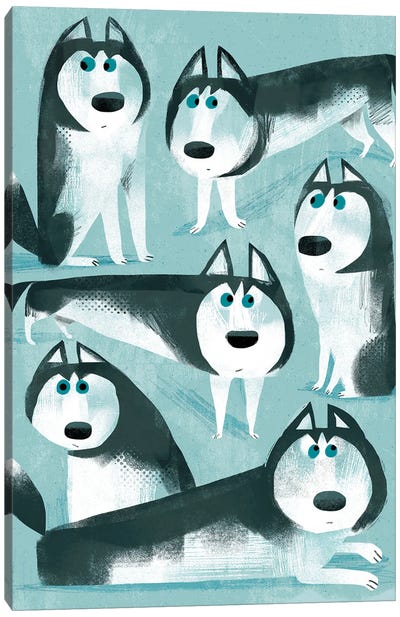Shifty Huskies Canvas Art Print - Turquoise Art