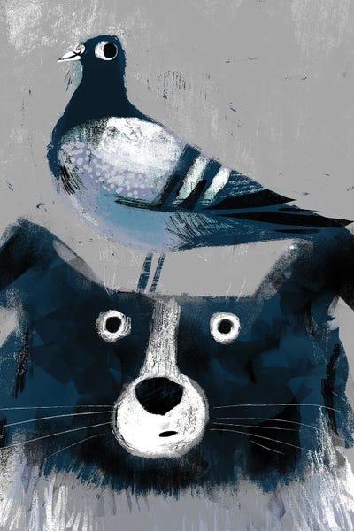 Border Collies: Collie With Pesky Pigeon by Gareth Lucas