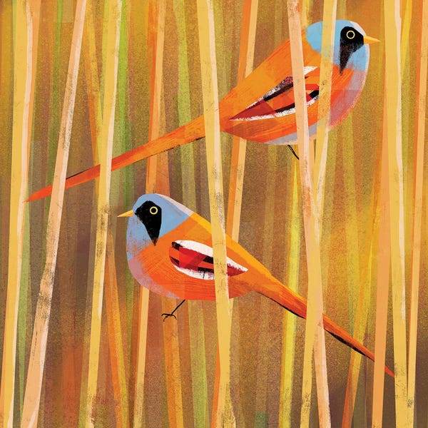 Mid-Century Modern Animals: Bearded Tits by Gareth Lucas