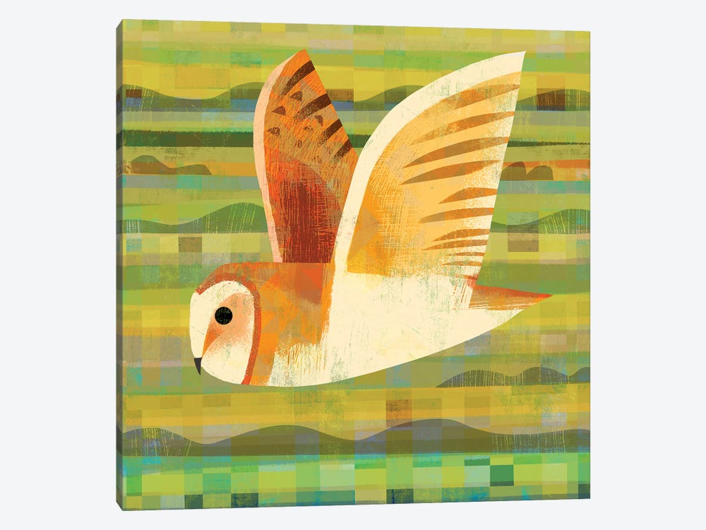 Barn Owl Flying by Gareth Lucas 1-piece Art Print