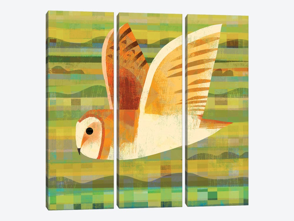 Barn Owl Flying by Gareth Lucas 3-piece Canvas Print