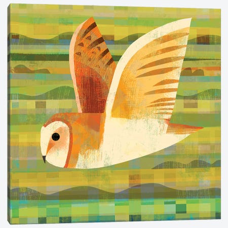 Barn Owl Flying Canvas Print #GLS1} by Gareth Lucas Canvas Wall Art