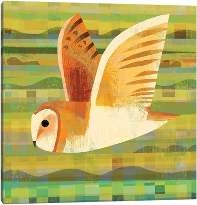 Barn Owl Flying Canvas Art Print - Gareth Lucas