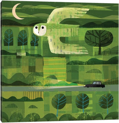 Dusk Owl Canvas Art Print - Gareth Lucas