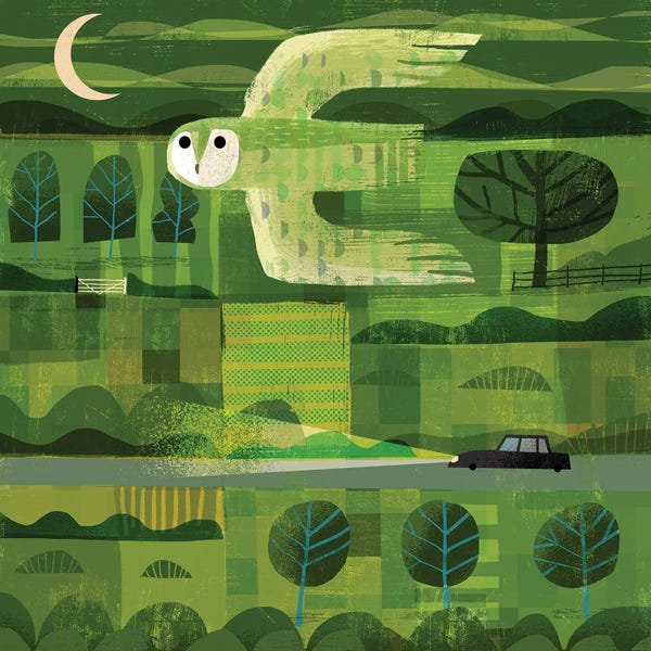 Mid-Century Modern Animals: Dusk Owl by Gareth Lucas