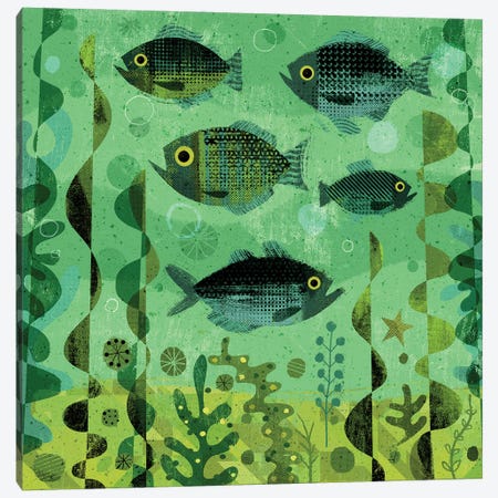Fishy Greens Canvas Print #GLS26} by Gareth Lucas Canvas Art Print