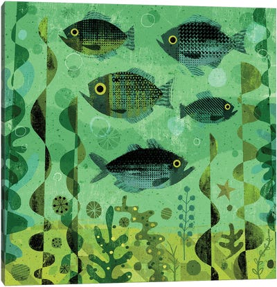 Fishy Greens Canvas Art Print - Gareth Lucas