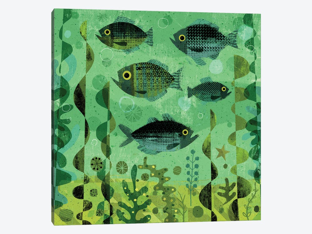 Fishy Greens by Gareth Lucas 1-piece Canvas Print