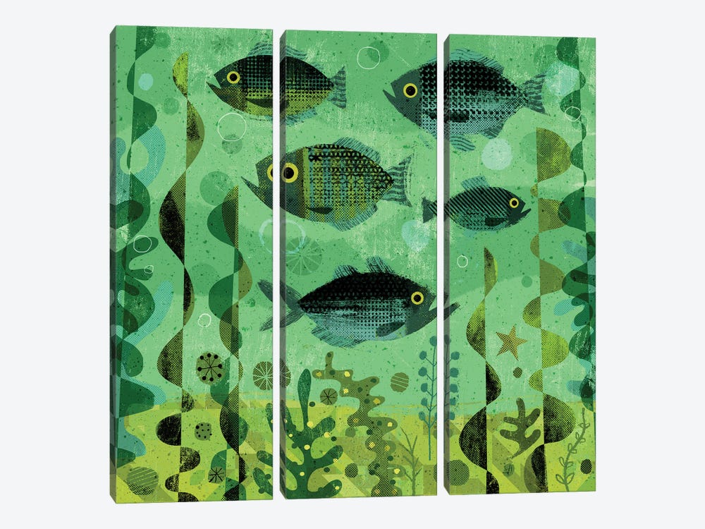 Fishy Greens by Gareth Lucas 3-piece Canvas Print