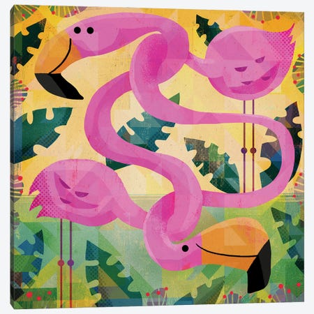Flamingos Canvas Print #GLS27} by Gareth Lucas Canvas Art Print