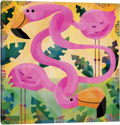Flamingos Canvas Art Print - Gareth Lucas