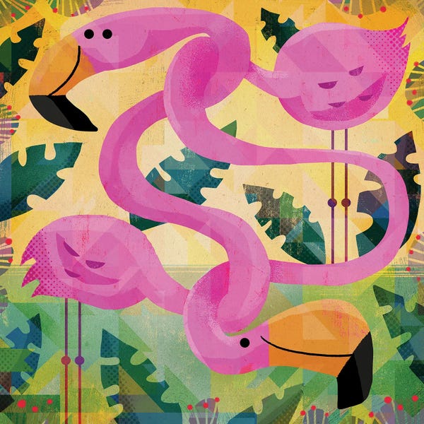 Flamingos: Flamingos by Gareth Lucas